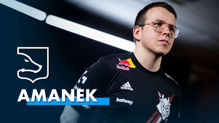 AMANEK ist dabei, LDLC beizutreten