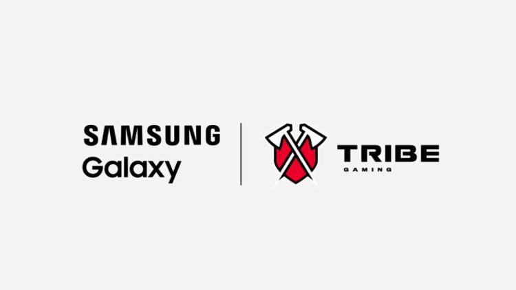 Samsung wird Partner Tribe Gaming