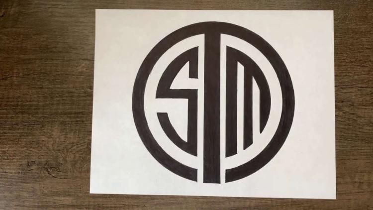 TSM -Leitfaden bringt Klarheit in zukünftiges CS:GO-Projekt