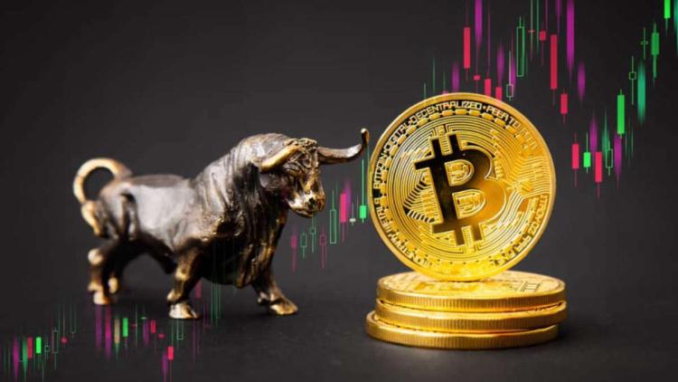 Gründer XOR strategy: "Bullrun BTC beginnt hier"