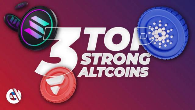 Top 3 Altcoins mit starken Fundamentaldaten