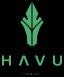 HAVU Gaming