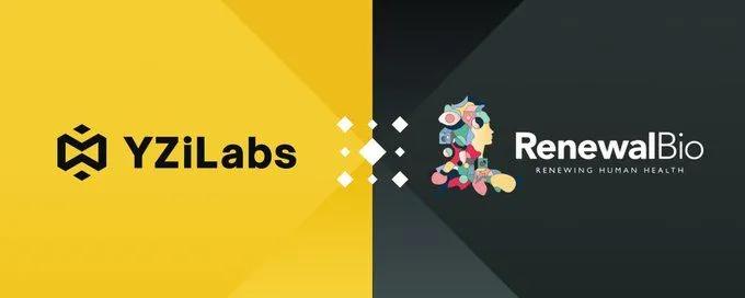 YZi Labs investiert in Renewal Bio: Ein revolutionärer Schritt in der regenerativen Medizin zur Überwindung des Organmangels