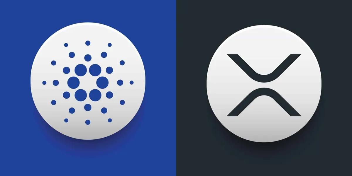 Mike Novogratz warnt eindringlich vor XRP und Cardano