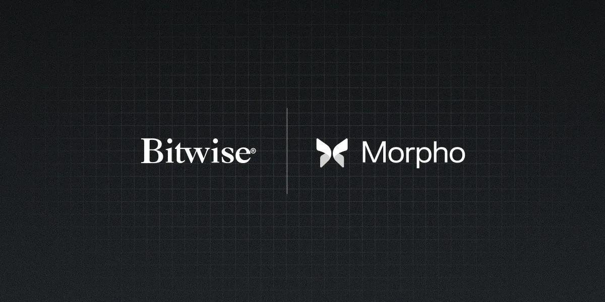 Bitwise startet On-Chain Tresor in Partnerschaft mit Morpho
