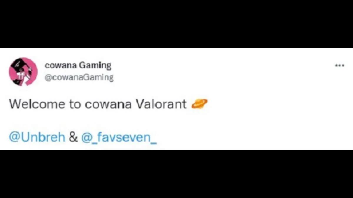 Cowana Gaming hat zwei Spieler für Valorant unter Vertrag genommen