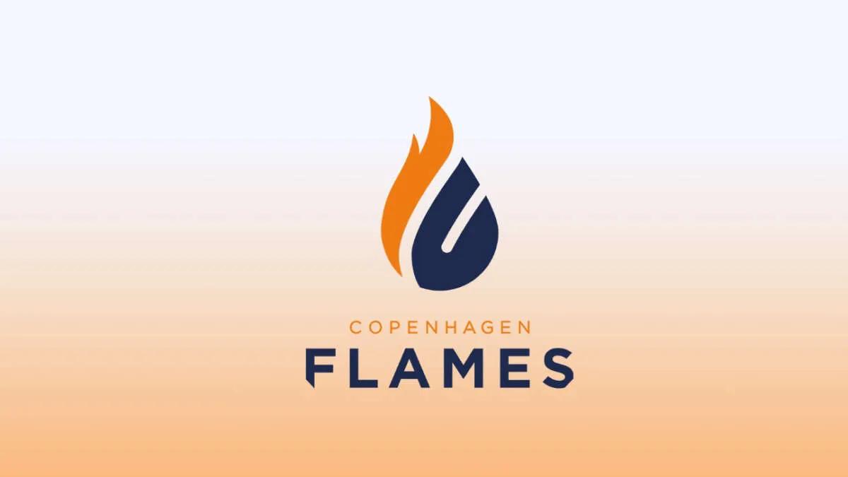 Gerücht: birdfromsky könnte der neue Kapitän sein Copenhagen Flames