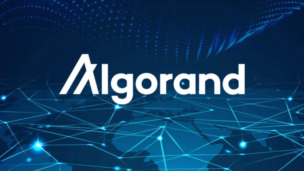 Die Bank von Italien wird die Blockchain Algorand verwenden, um „digitale Garantien“ zu entwickeln