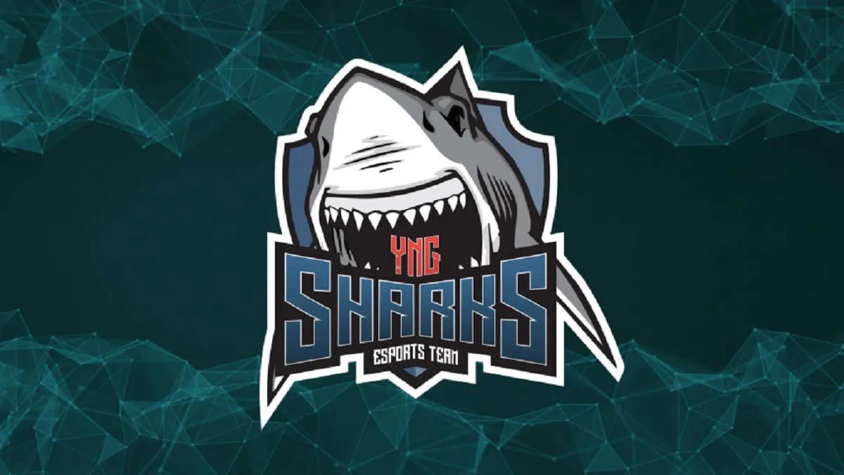 Gerüchte: rdnzao wird ein neuer Spieler Sharks Esports