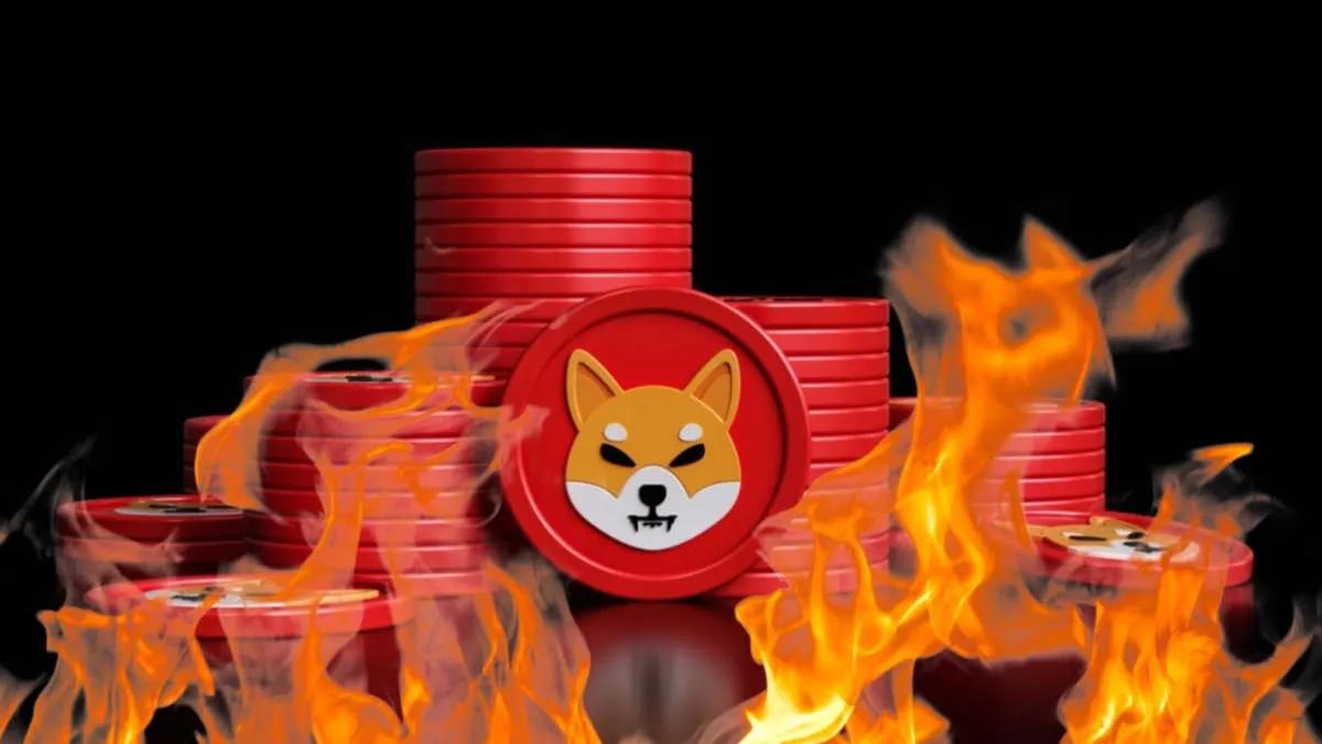 Über 48.000.000 Shiba Inu wurden in den letzten 24 Stunden verbrannt