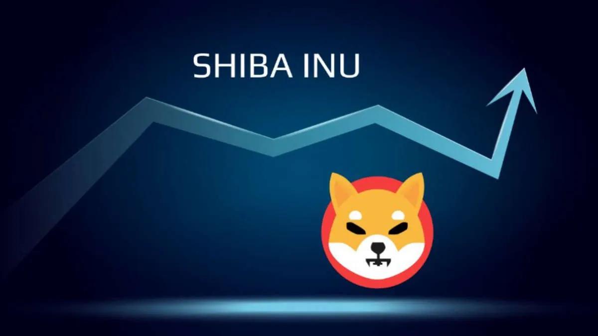 Meme-Akkumulation – Wale kauften 2.500.000.000.000 Shiba Inu pro Tag