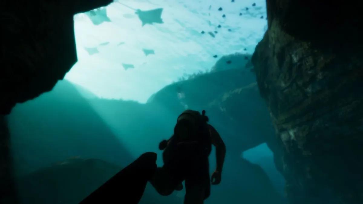 In GTA 6 könnte eine eigene Version des Miami Seaquariums auftauchen