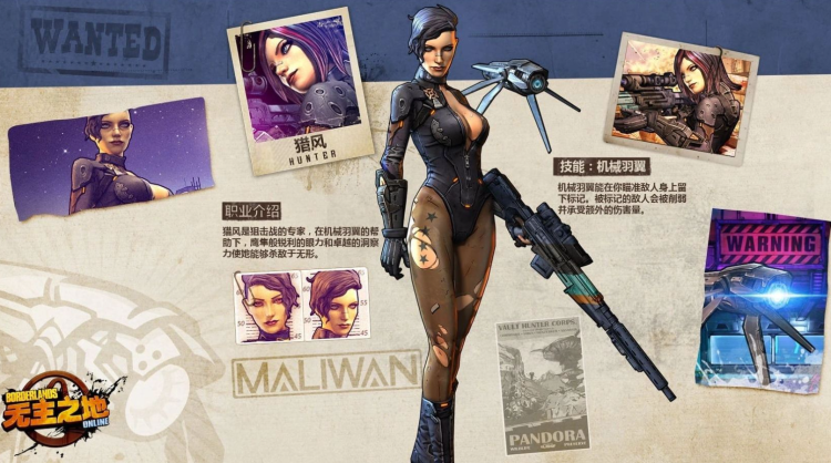 Borderlands-Archivare versuchen, das verlorene MMO zu retten, bevor es für immer verschwindet 1