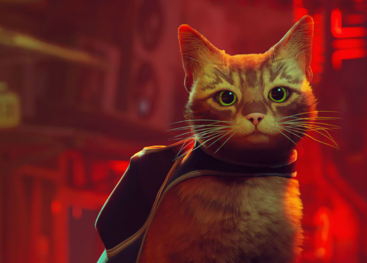 Cat‑Assassin Claws Toward 2027 3