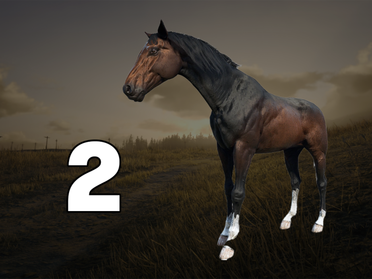 Die 10 besten Pferde in Red Dead Redemption 2, nach Leistung geordnet 9