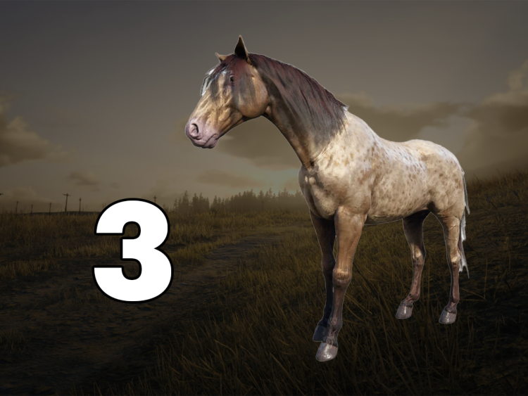 Die 10 besten Pferde in Red Dead Redemption 2, nach Leistung sortiert 8