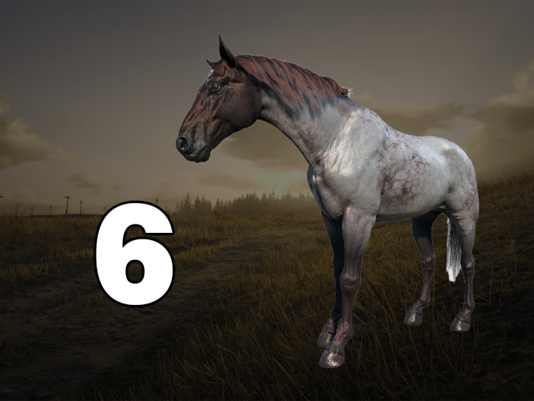 Die 10 besten Pferde in Red Dead Redemption 2, nach Leistung geordnet 5