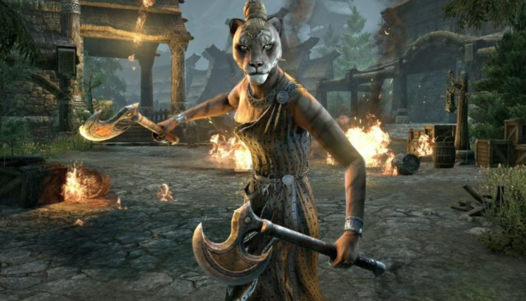 ZeniMax Bets On A Seasonal Reset For A 12-Year-Old MMO 3